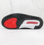 Air Jordan 3 Retro 136064 123 (4)