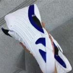 Air Jordan 14 Hyper Royal (3)